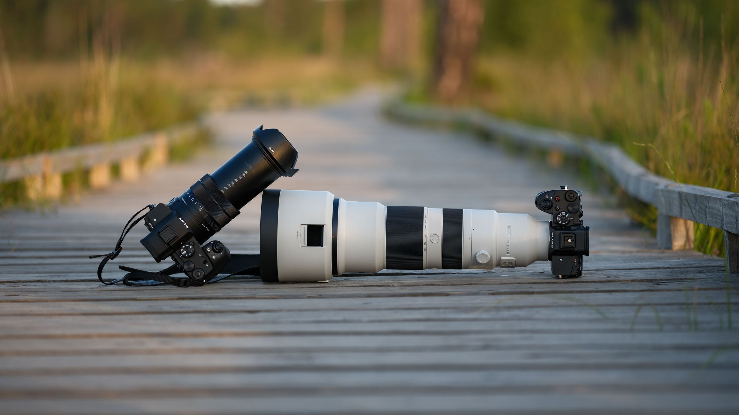 So Sánh Sony RX10 V và A7R V + Ống Kính Tele: Ai Vua Chụp Ảnh