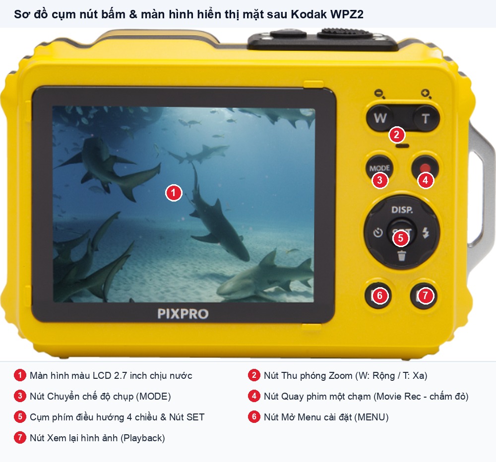 Sơ đồ cụm nút bấm và màn hình hiển thị mặt sau Kodak WPZ2