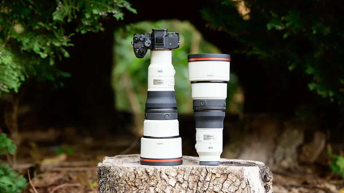 Sony 400mm & 600mm: Prime Siêu Tele Nhẹ Cho Nhiếp Ảnh Hoang Dã