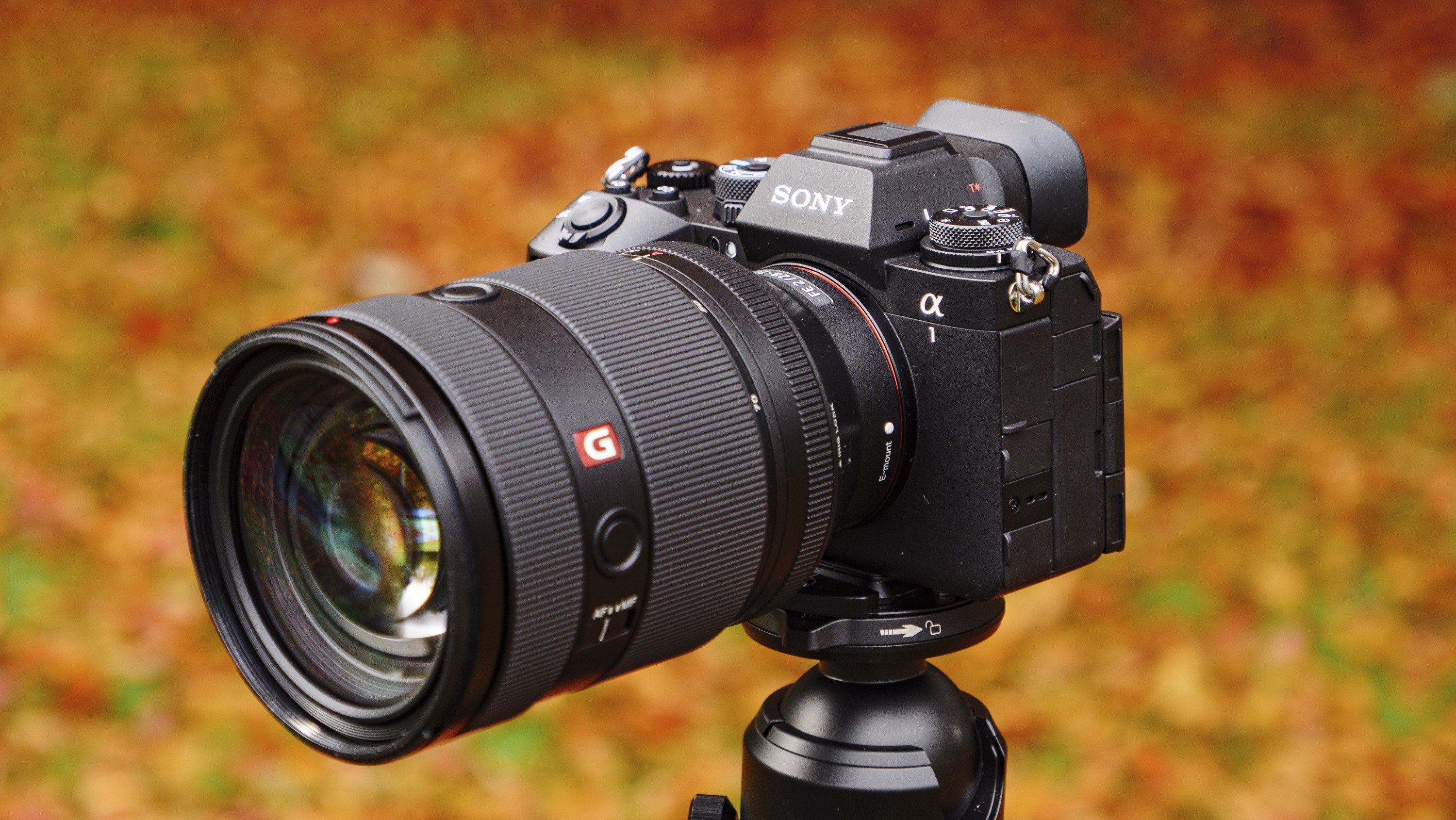 Sony A7 IV & A7R V: Vì Sao Vẫn 'Hot' Hàng Trên Thị Trường?