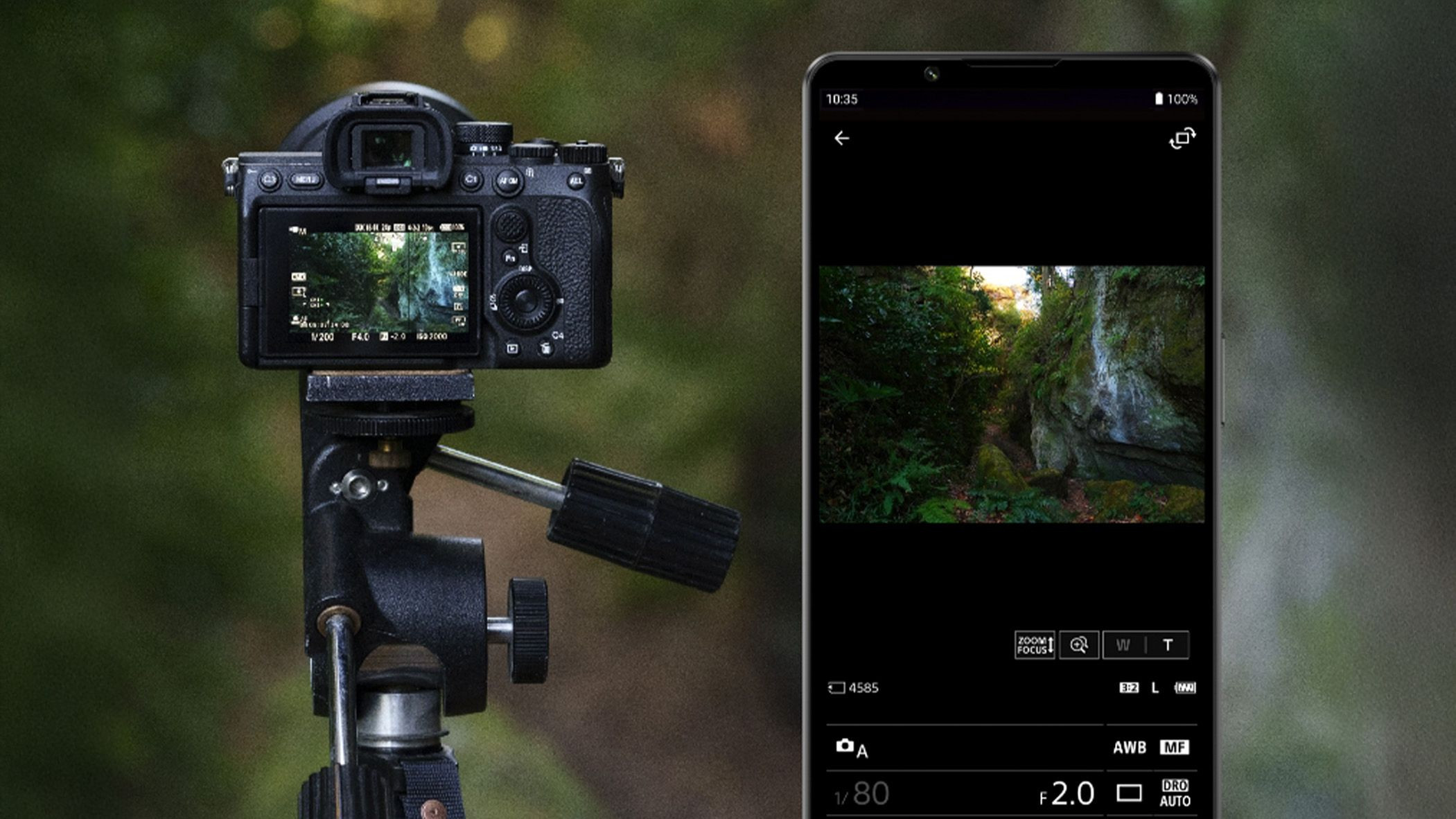Sony Creator’s App Cập Nhật Tính Năng Motion Photo 3 Giây
