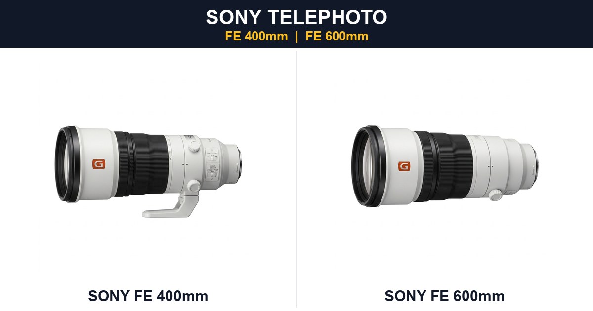 Sony FE 400mm f/4.5 vs 600mm f/6.3 GM: So sánh 2 ống tele siêu nhẹ