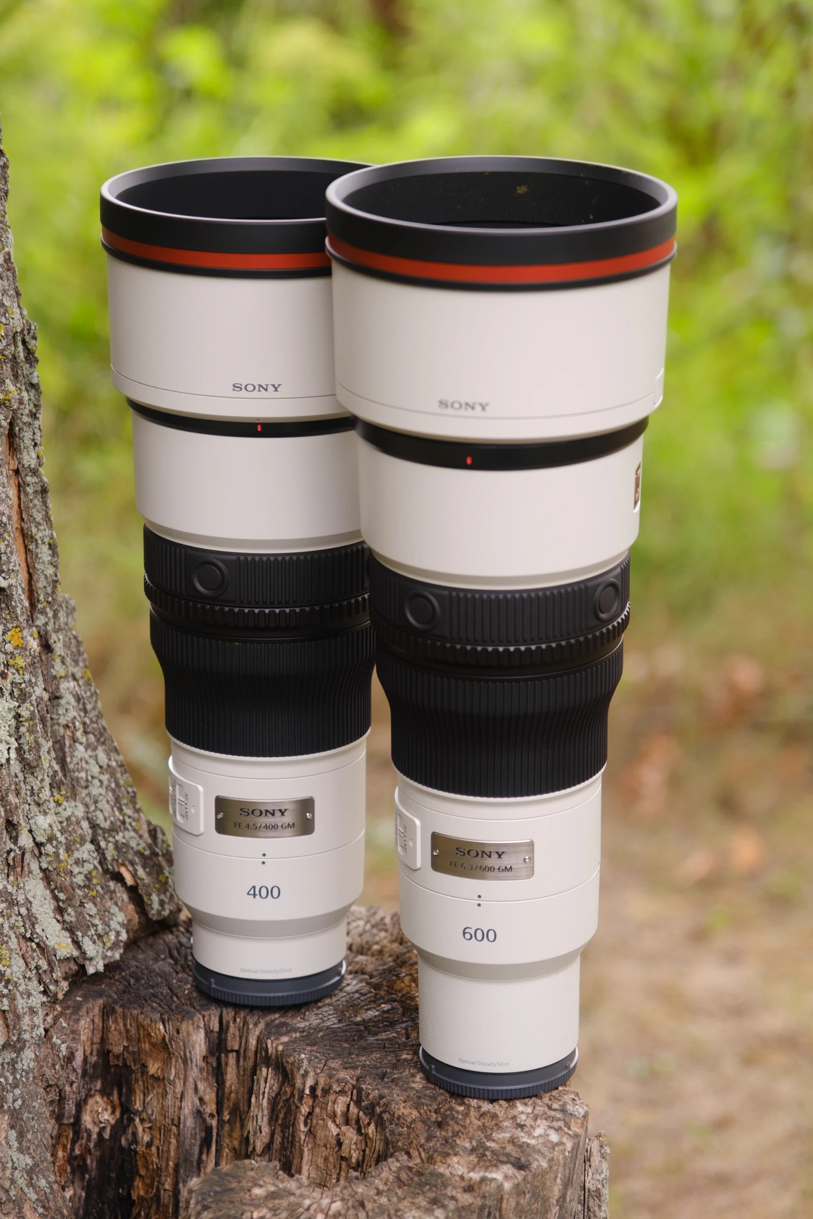 Sony Tele Prime: So Sánh 400mm/600mm Mới Siêu Nhẹ Giá Tốt