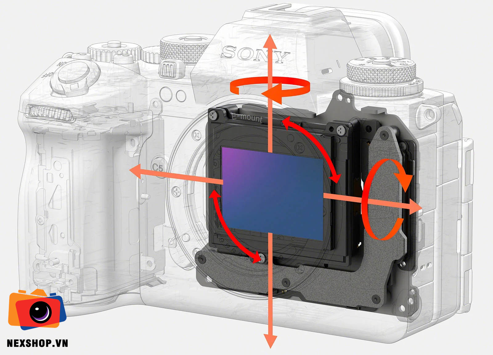 Sony-gioi-thieu-ban-cap-nhat-firmware-moi-nhat-cho-may-anh-Sony-A1-M2_a1-ii-ibis-illustration.jpg