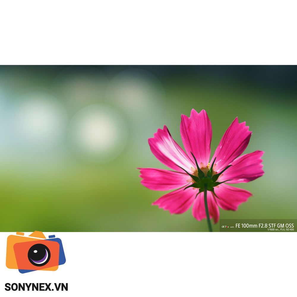 Ong_kinh_sony_fe_100mm_f2_8_stf_gm_oss_l