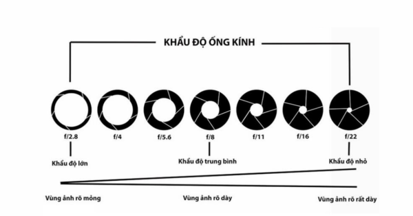 Khẩu độ máy ảnh