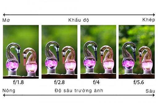 Điều chỉnh khẩu độ để kiểm soát độ sâu trường ảnh