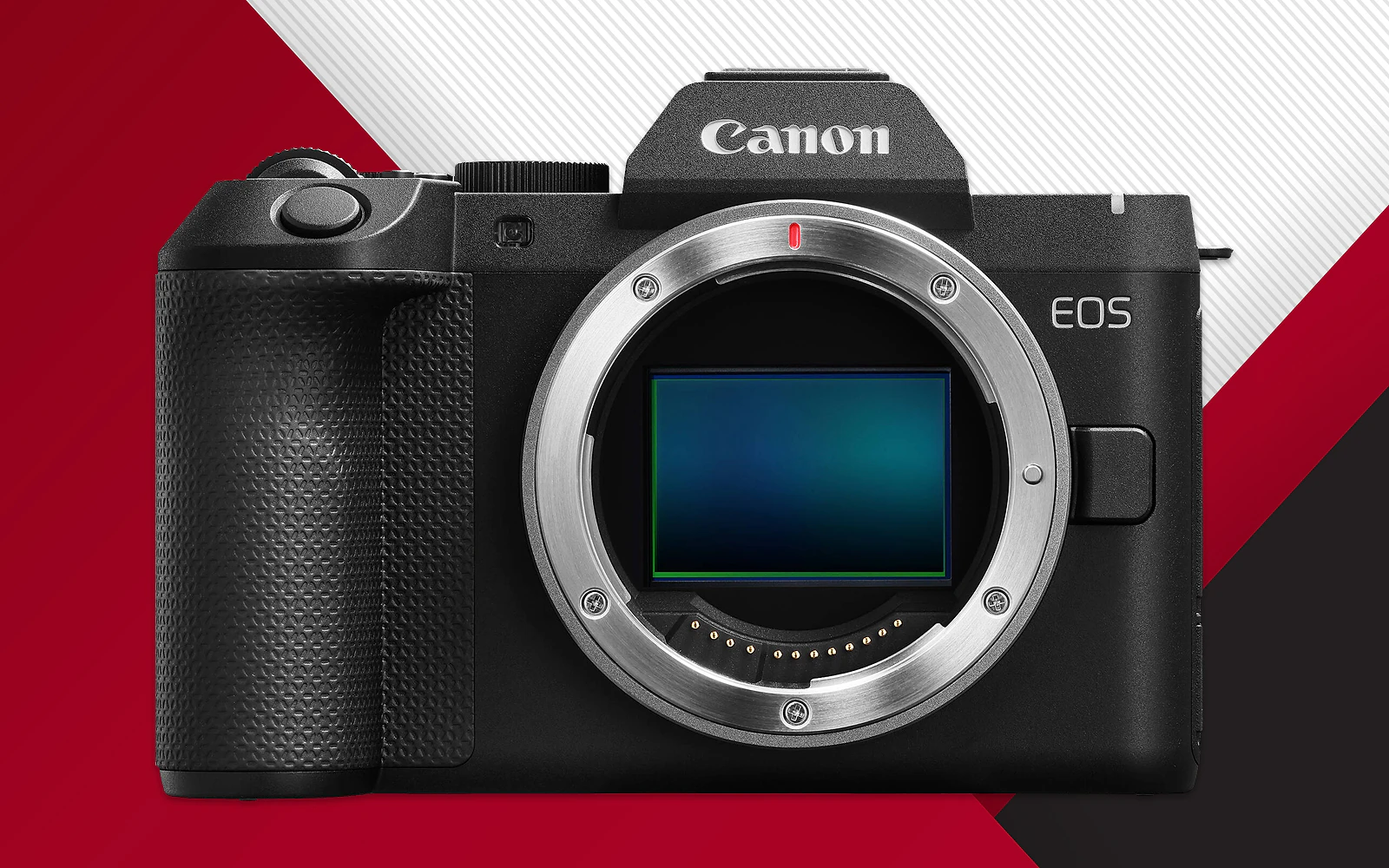 Máy quay điện ảnh nhỏ gọn Canon EOS C50 với thiết kế thân thiện cho người quay phim độc lập