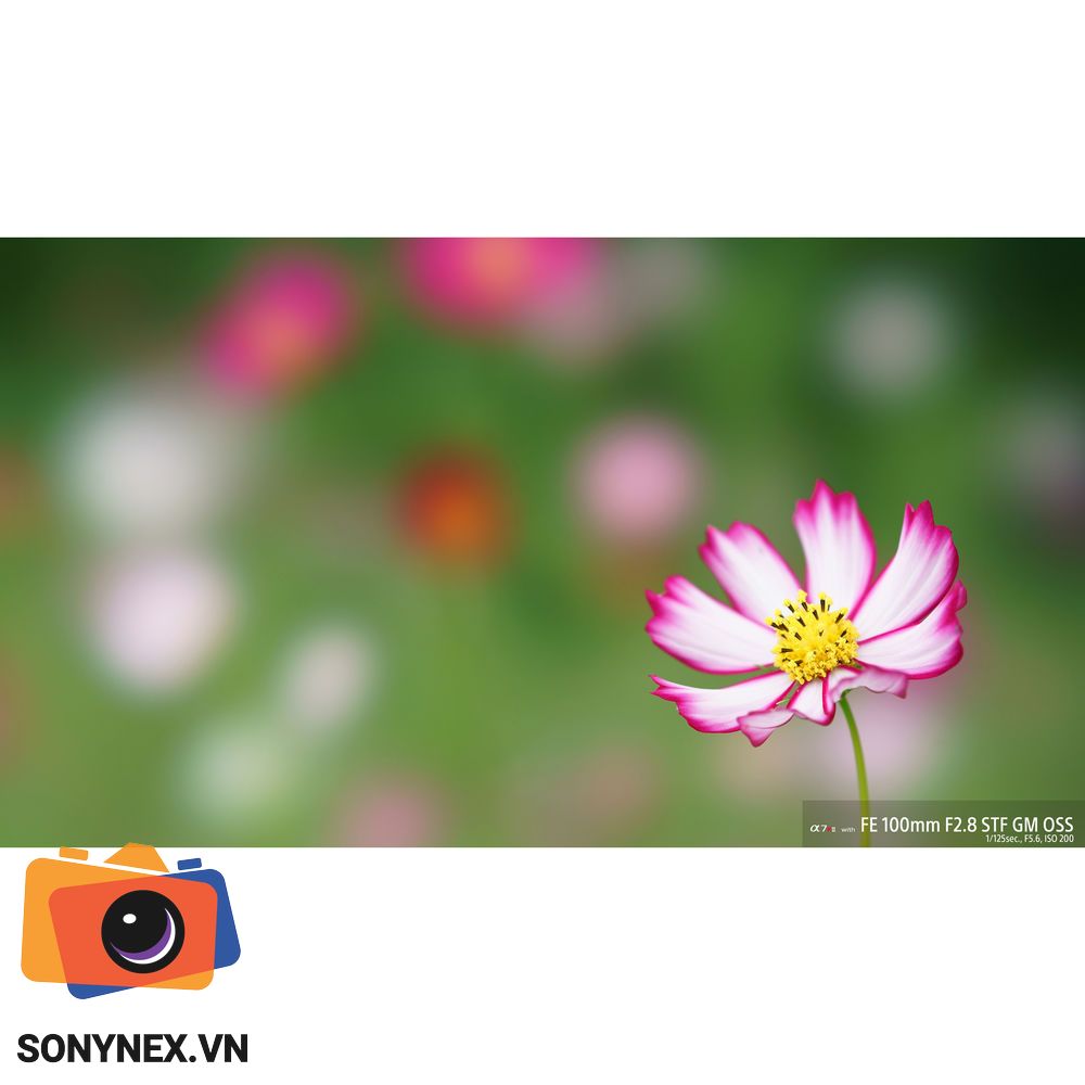 Sony FE 100mm f/2.8 STF GM OSS | Chính hãng