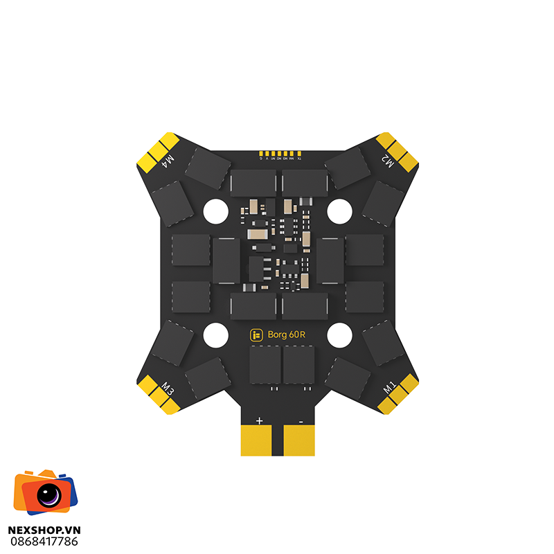 Borg 60R ESC