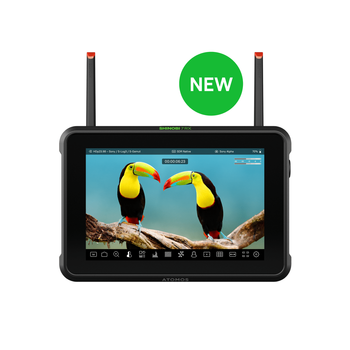 Atomos Shinobi 7 RX – 7″ Monitor & Receiver | Chính hãng