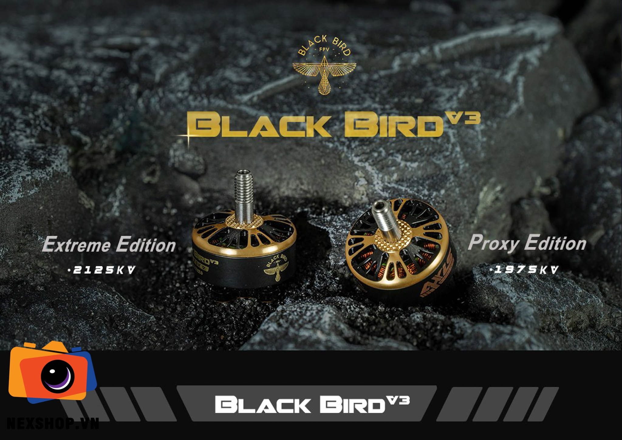 Axisflying Co-brand BlackBird V3 freestyle motor - 2125KV