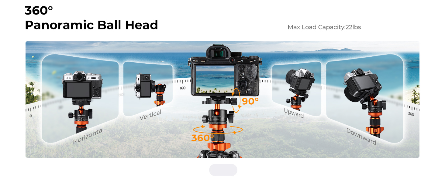 Chân máy ảnh K&F Concept O234A7 kèm Ball Head BH-28L Kit | Chính hãng | Fullvat