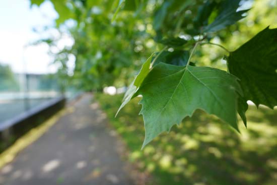 Ống kính Fujinon XF14mm F2.8 R | Hàng chính hãng