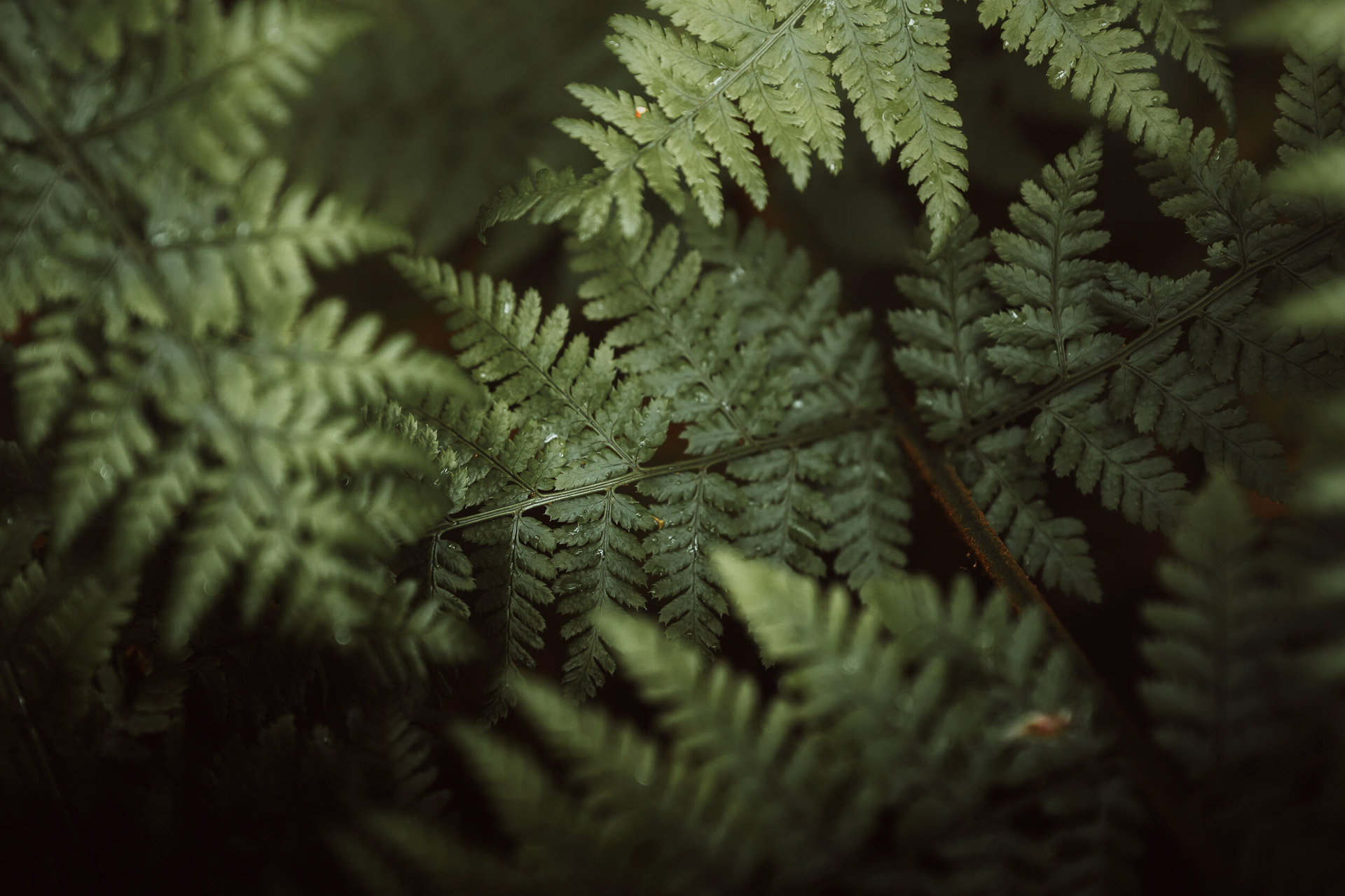 Ống kính Sigma 28-45mm f/1.8 DG DN IArt ngàm Sony E | Chính hãng