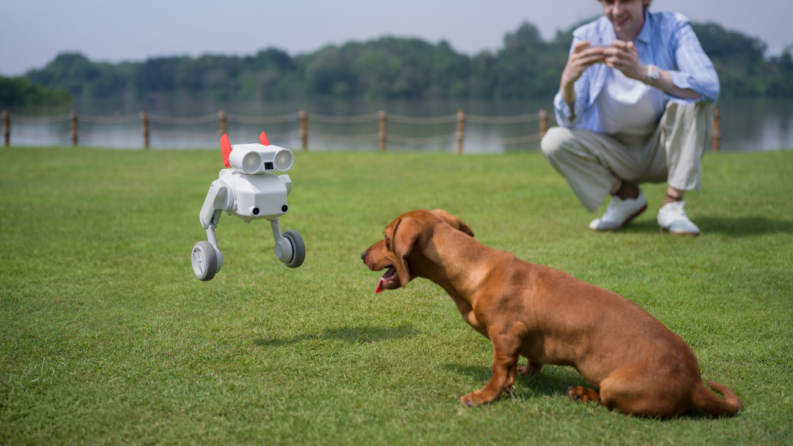 Robot Camera Tự Hành AI Mondo Robotics BENI bật nhảy ghi hình thú cưng trên bãi cỏ