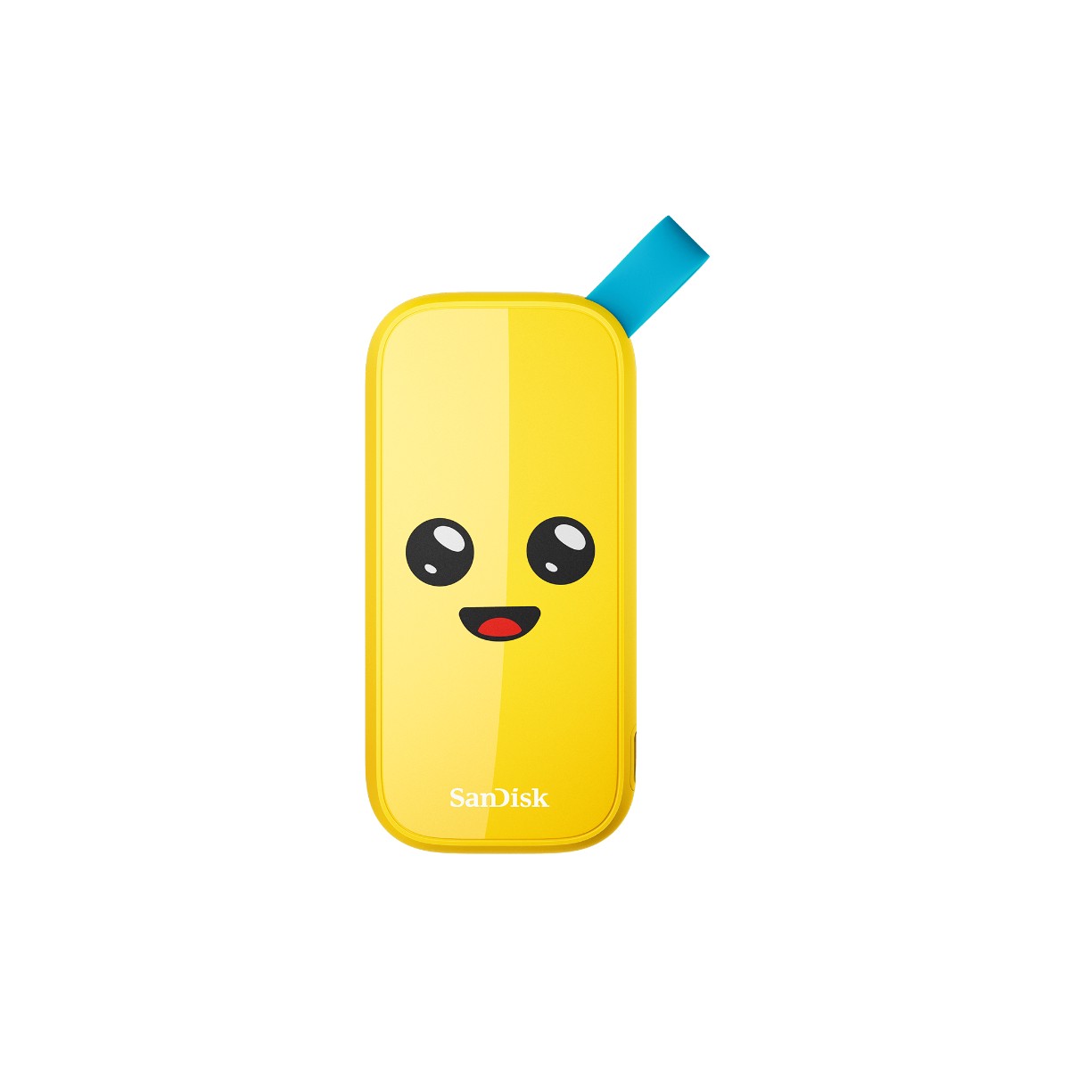 SANDISK Portable SSD: 1TB External Drives Fortnite External Drives