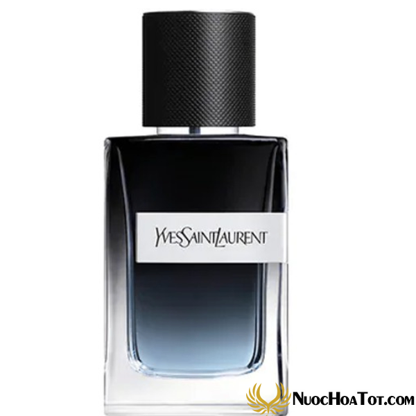 Nước hoa nam Yves Saint Laurent Y Eau de Parfum