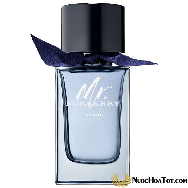 Nước hoa nam Mr Burberry Indigo