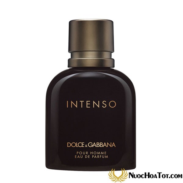 Nước hoa nam Dolce & Gabbana Intenso Pour Homme EDP
