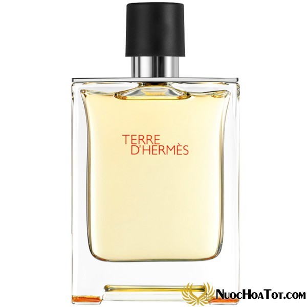 Nước hoa nam Terre d'Hermes EDT