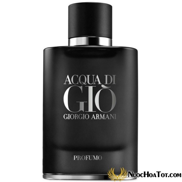 Nước hoa nam Acqua Di Gio Profumo Pour Homme EDP
