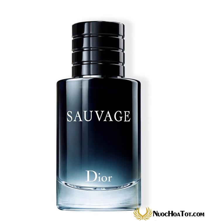 Nước hoa nam Dior Sauvage EDT
