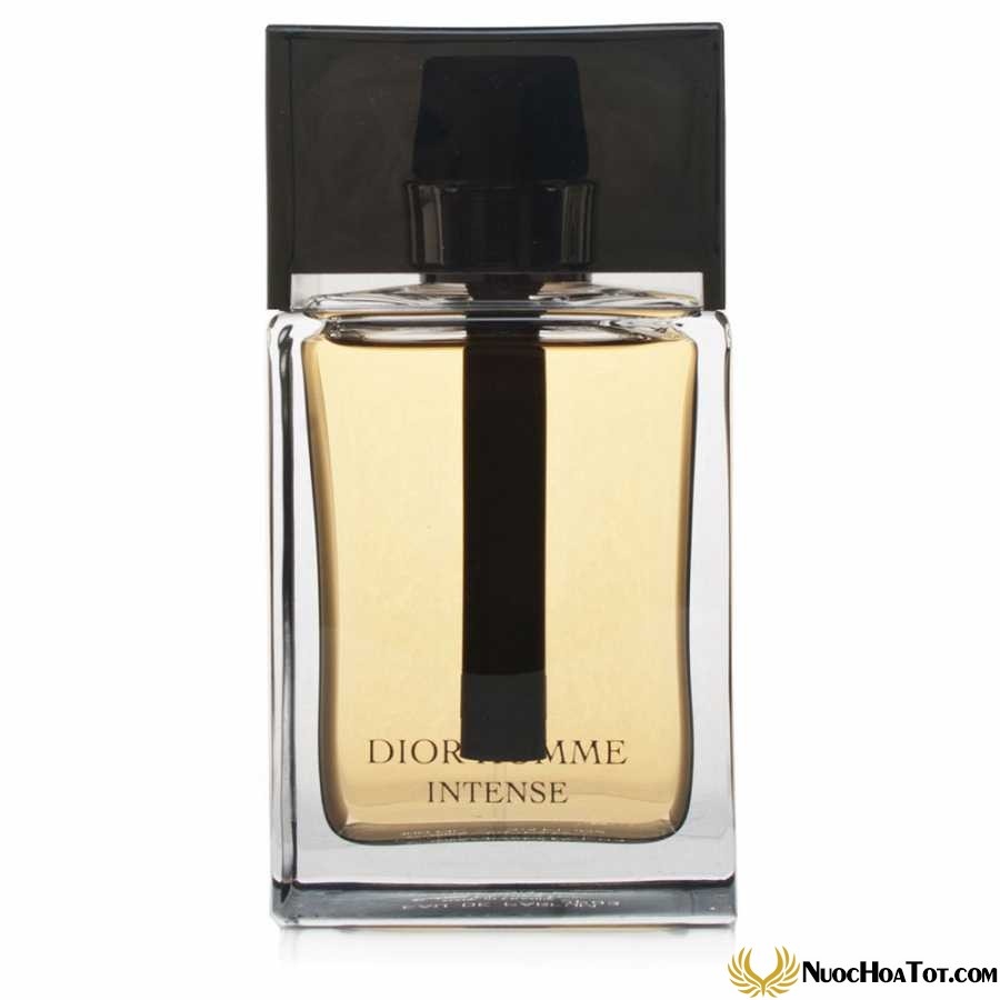 Nước hoa nam Dior Homme Intense EDP