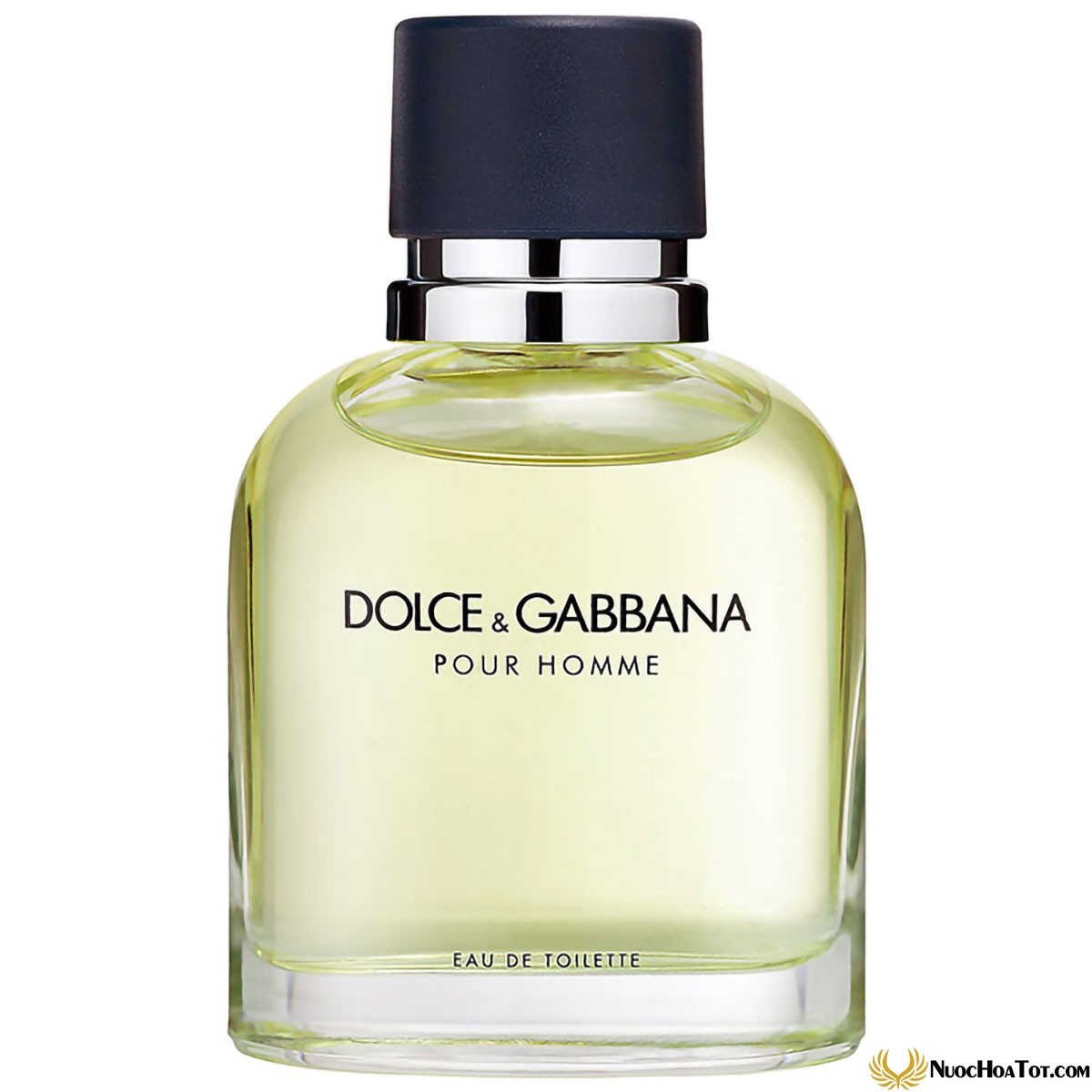 Nước hoa nam D&G Pour Homme EDT