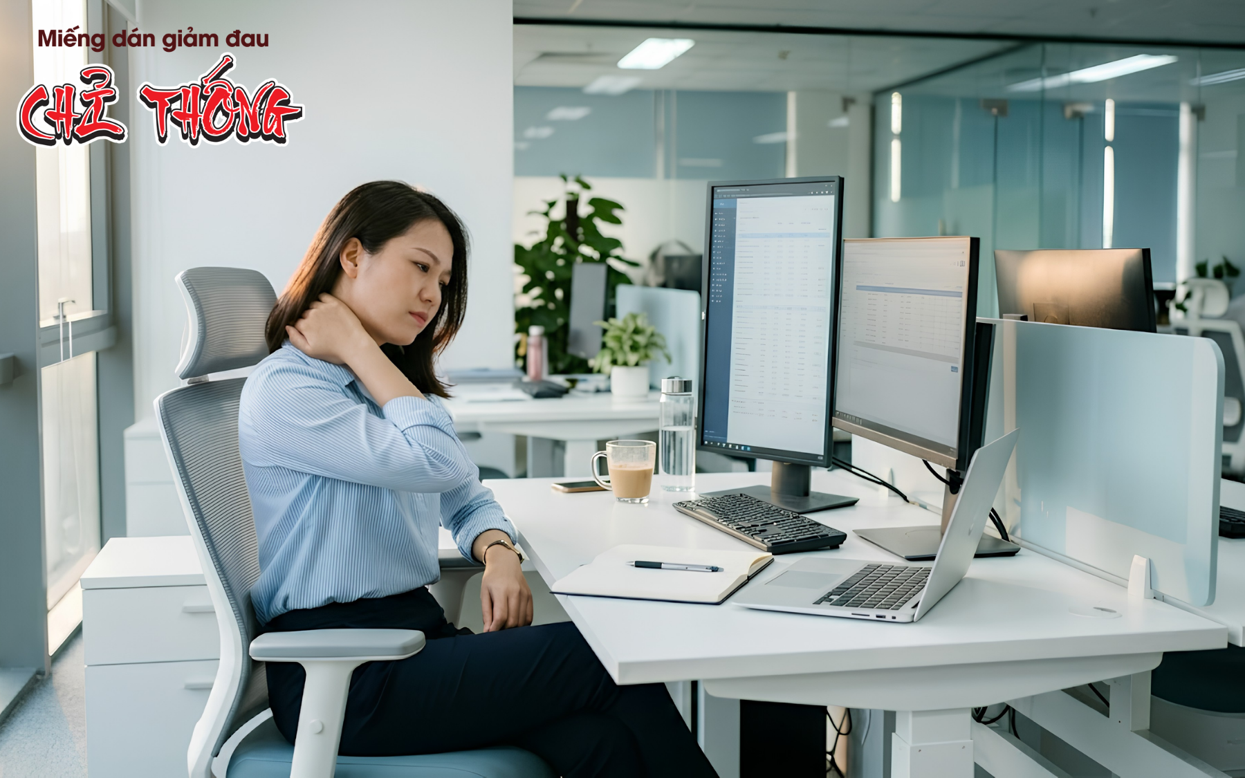 Trị liệu cổ vai gáy cho dân văn phòng: Lộ trình 14 ngày