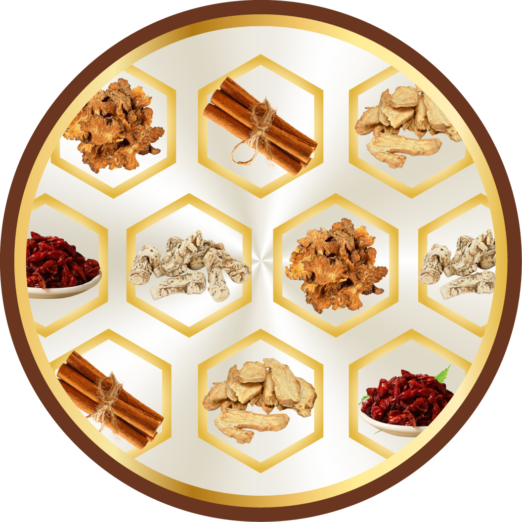 Hoạt huyết – Thư giãn cơ