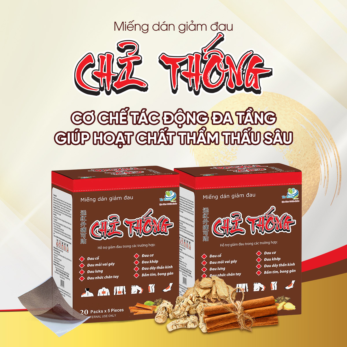 Miếng dán giảm đau Chỉ Thống (2 hộp)