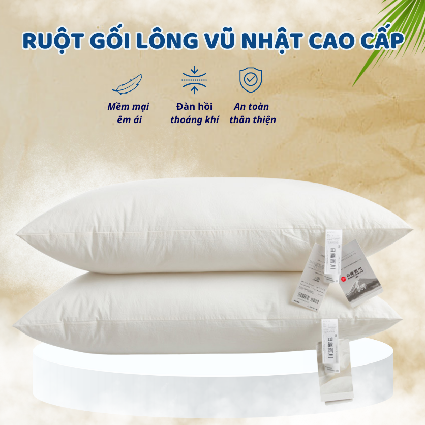 RUỘT GỐI LÔNG VŨ