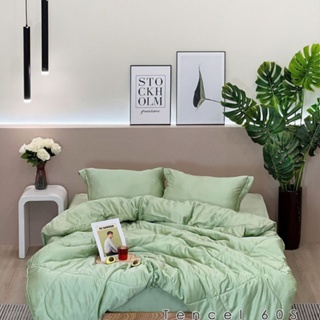 ga giường/Drap nệm tencel 60s