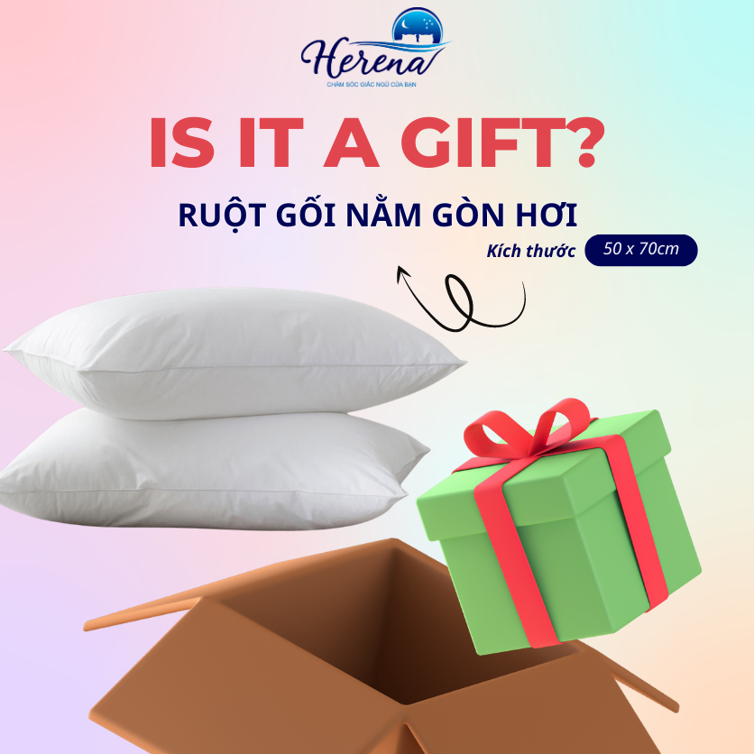 H38 - ruột gối nằm gòn hơi - hàng tặng