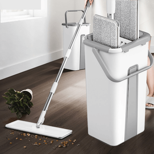 Tổng hợp các loại cây lau nhà đang được yêu thích nhất hiện nay