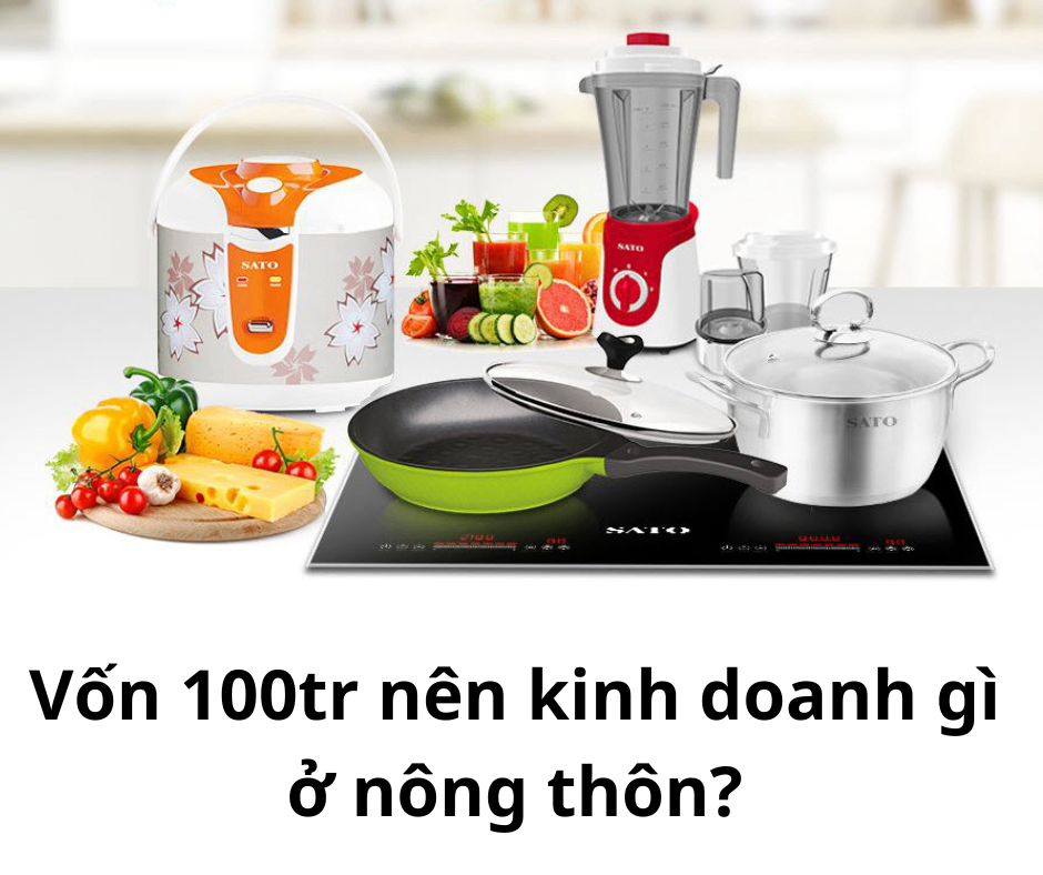 Vốn 100tr nên kinh doanh gì ở nông thôn? 7 mô hình kinh doanh hay