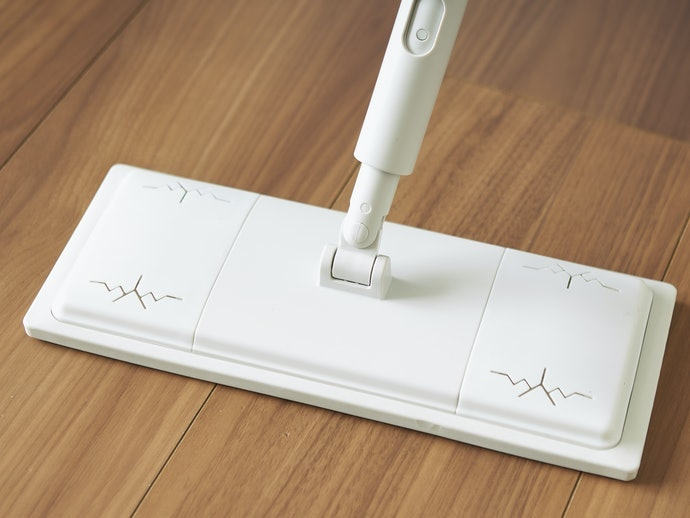 Các loại cây lau nhà tốt phù hợp với người bận rộn