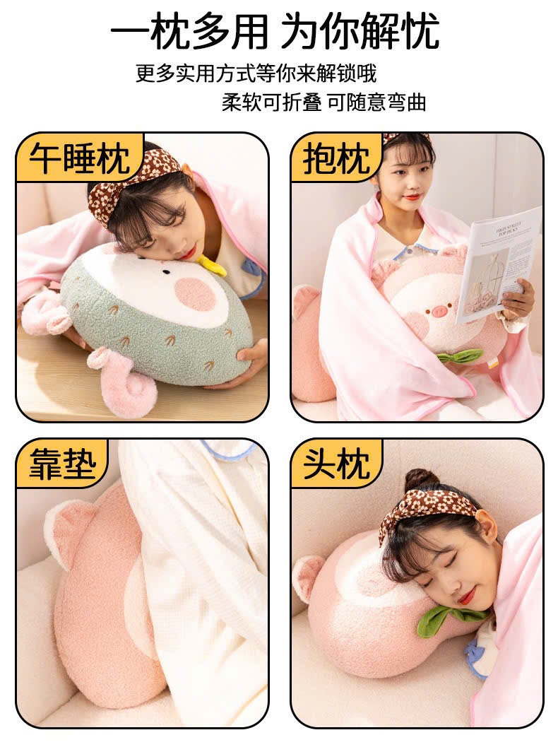 [50] Bộ Chăn Gối Văn Phòng 2in1 Hoa Qủa