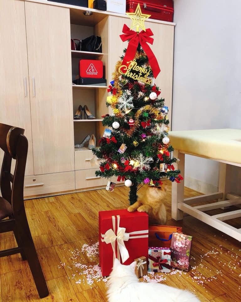 [20] Cây Thông Noel 1m5
