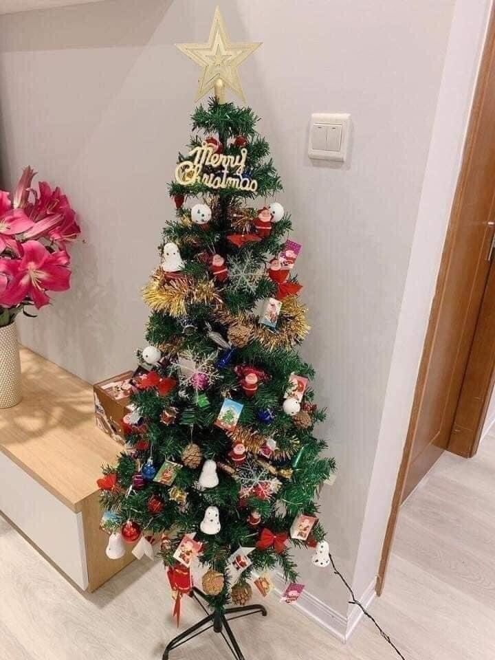 [20] Cây Thông Noel 1m5