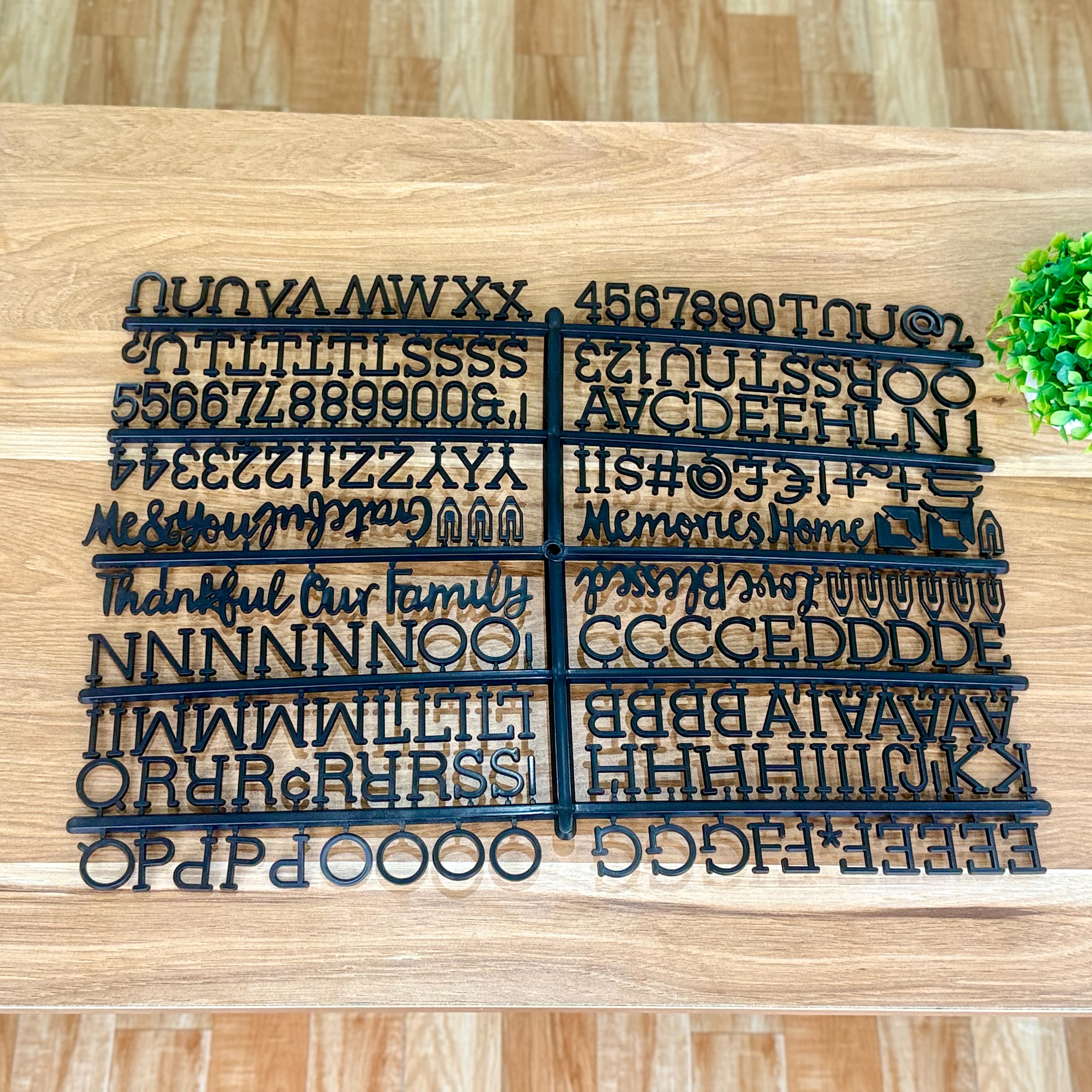 Vỉ chữ đen có chữ Family