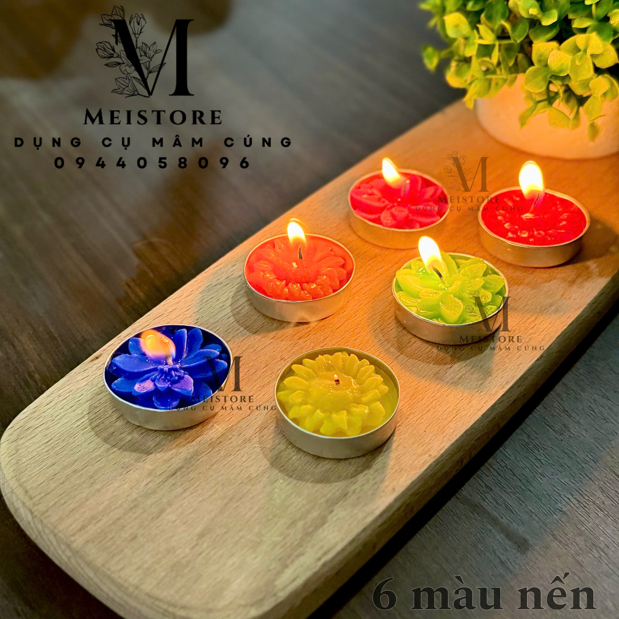 Vỉ nến xu vỉ 14 viên