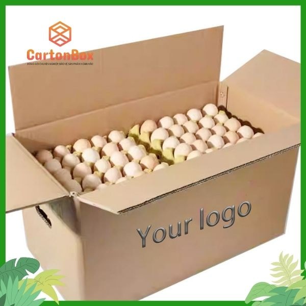 Thùng Carton Đóng Hàng: Sự Lựa Chọn Thân Thiện Với Môi Trường