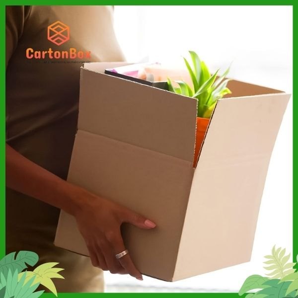 In Hộp Carton Tùy Chỉnh: Sự Lựa Chọn Hoàn Hảo Từ Xưởng Sản Xuất Hộp Giấy CARTON BOX