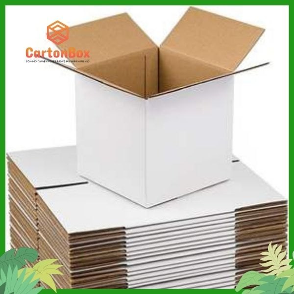 Hộp Carton Đóng Hàng: Giải Pháp Đóng Gói Chuyên Nghiệp Từ Công Ty Sản Xuất Hộp Giấy