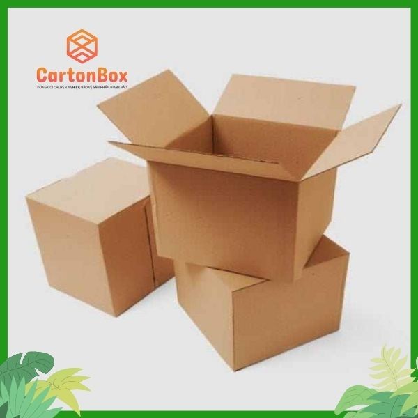Khám Phá Hộp Carton Đóng Hàng Từ Công Ty Sản Xuất Hộp Giấy CARTON BOX