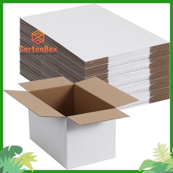 Sản Xuất Bao Bì Giấy: Hãy Để Thùng Giấy Carton Giá Rẻ Giúp Bạn Tiết Kiệm Chi Phí