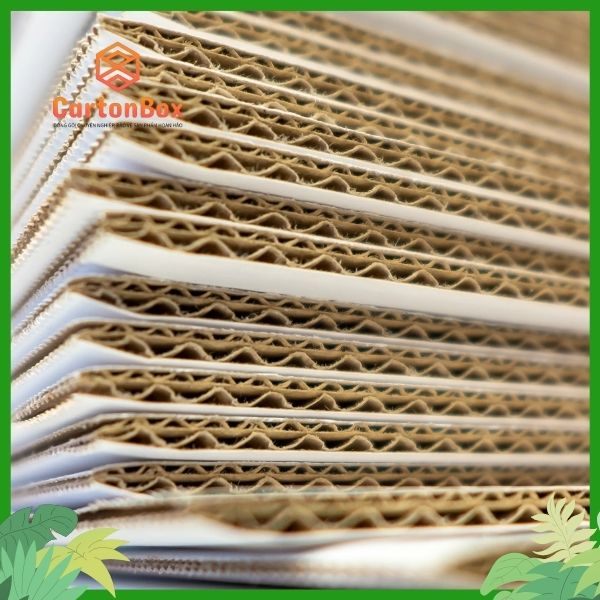 Cải Thiện Doanh Số Bán Hàng Với In Hộp Carton Từ Xưởng Sản Xuất Hộp Giấy