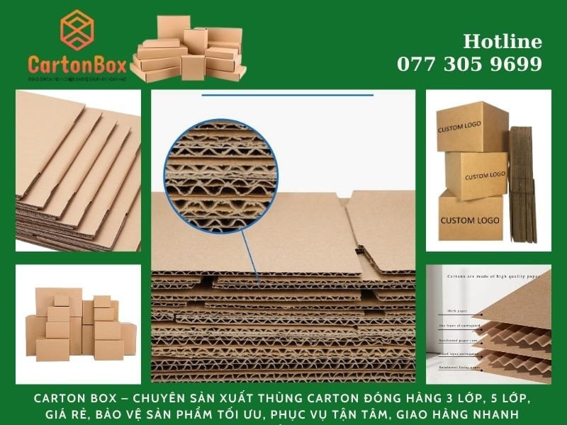 Xưởng Sản Xuất Bao Bì Nổi Bật Với Dịch Vụ In Hộp Carton Giá Rẻ